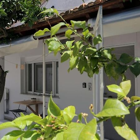 Stamatis Apartment Агиос Георгиос Екстериор снимка